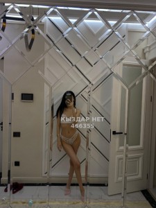 Проститутка Шымкента Анкета №466355 Фотография №3804740