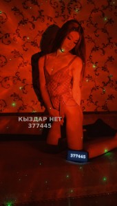 Транс Кызылорды Транс№377445 Мика в Кзо Работаю Фотография №3896661