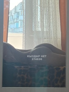 Жиголо Астаны Анкета №374636 Фотография №3787423