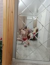 Фотография №3795045